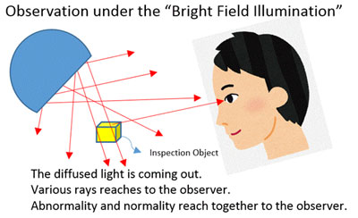 Observation under the Bright Field Illumination graphic
