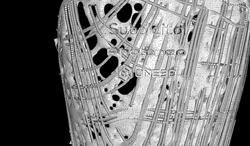 The outer layer was generated as a transformation of curves describing the force-courses in the splint under pressure.