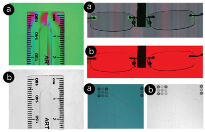 Teledyne DALSA's new polarization camera