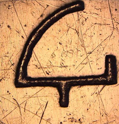 image from Digital Microsocpe with coaxial illumination