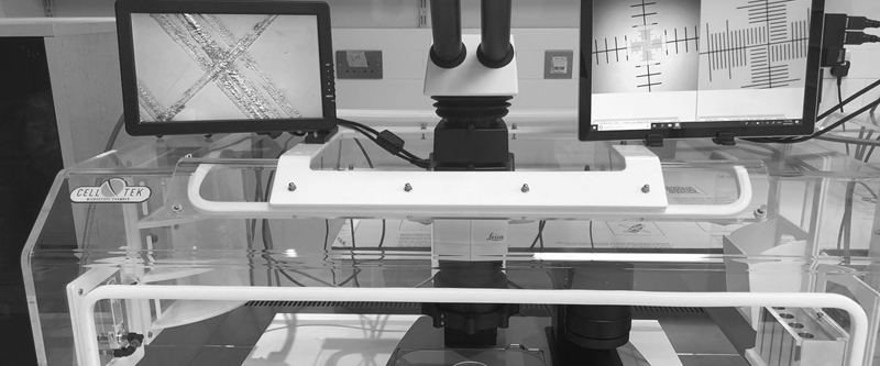 200x and 400x magnifications on screen simultaneously in full high contrast