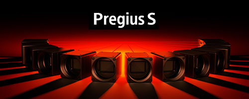 Pregius S