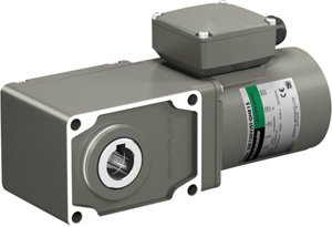 KIIS Series three-phase standard AC motor with hypoid gear and terminal box