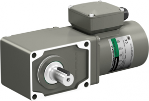 KIIS Series three-phase standard AC motor with hypoid gear and terminal box with the SOT7A torque arm