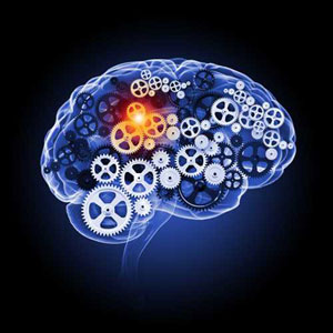 Motion control brain