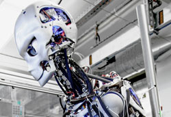 Tendon-controlled humanoid robot