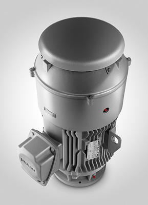 A range of special options is available for the series so that these motors comply with or exceed the most stringent industrial standards and can be used to address a wide range of applications.