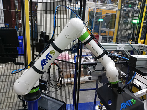 AMT FANUC robot moving ecommerce bins