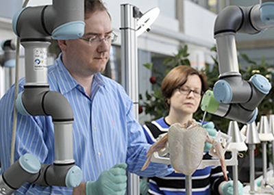 Researchers oversee a robot performing a butterfly cut on fresh poultry