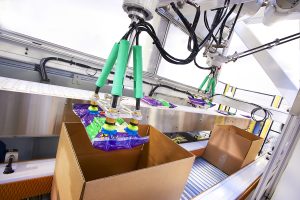 bag cheese case packing machine
