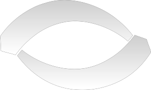 Automated Vision Systems, Inc. Logo