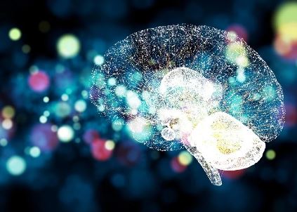 Brain