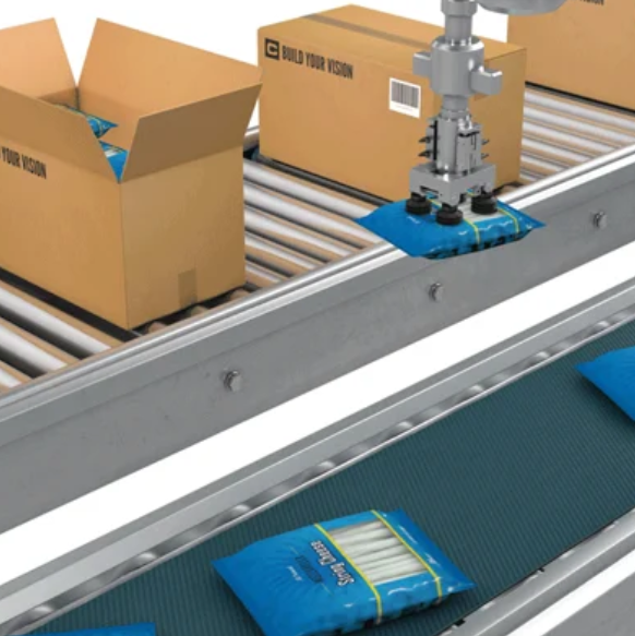 Robot Picking Up a Bag