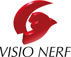 Visio Nerf Logo