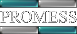 Promess Inc. Logo