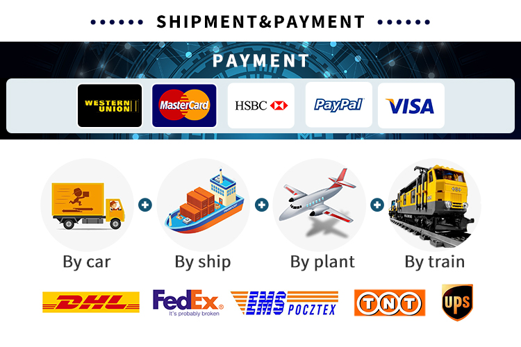CubeMars-Shipment-Payment