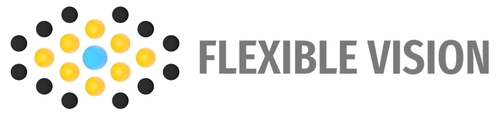 Flexible Vision logo