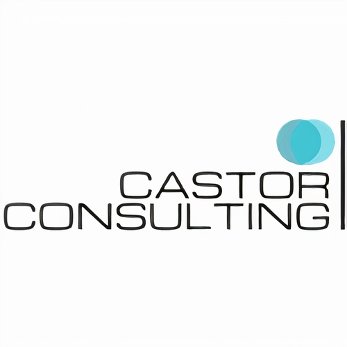 Castor Consulting, LLC Logo
