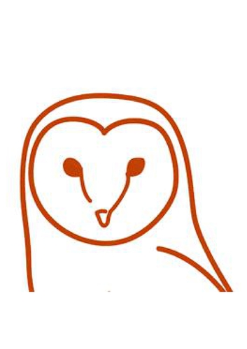 Barn Owl Robotics, LLC Company Logo