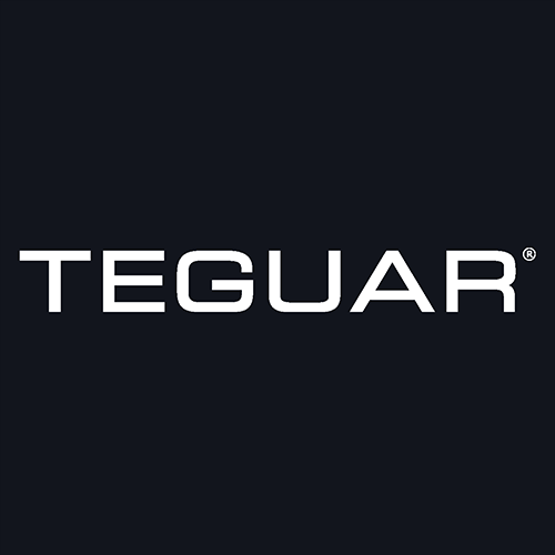 Teguar Logo