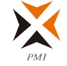 Precision Motion Industries Inc. Logo