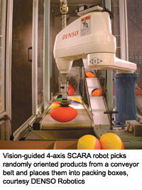 Vision-guided 4-axis SCARA robot picks randomly oriented products from a conveyor belt and places them into packing boxes, courtesy DENSO Robotics