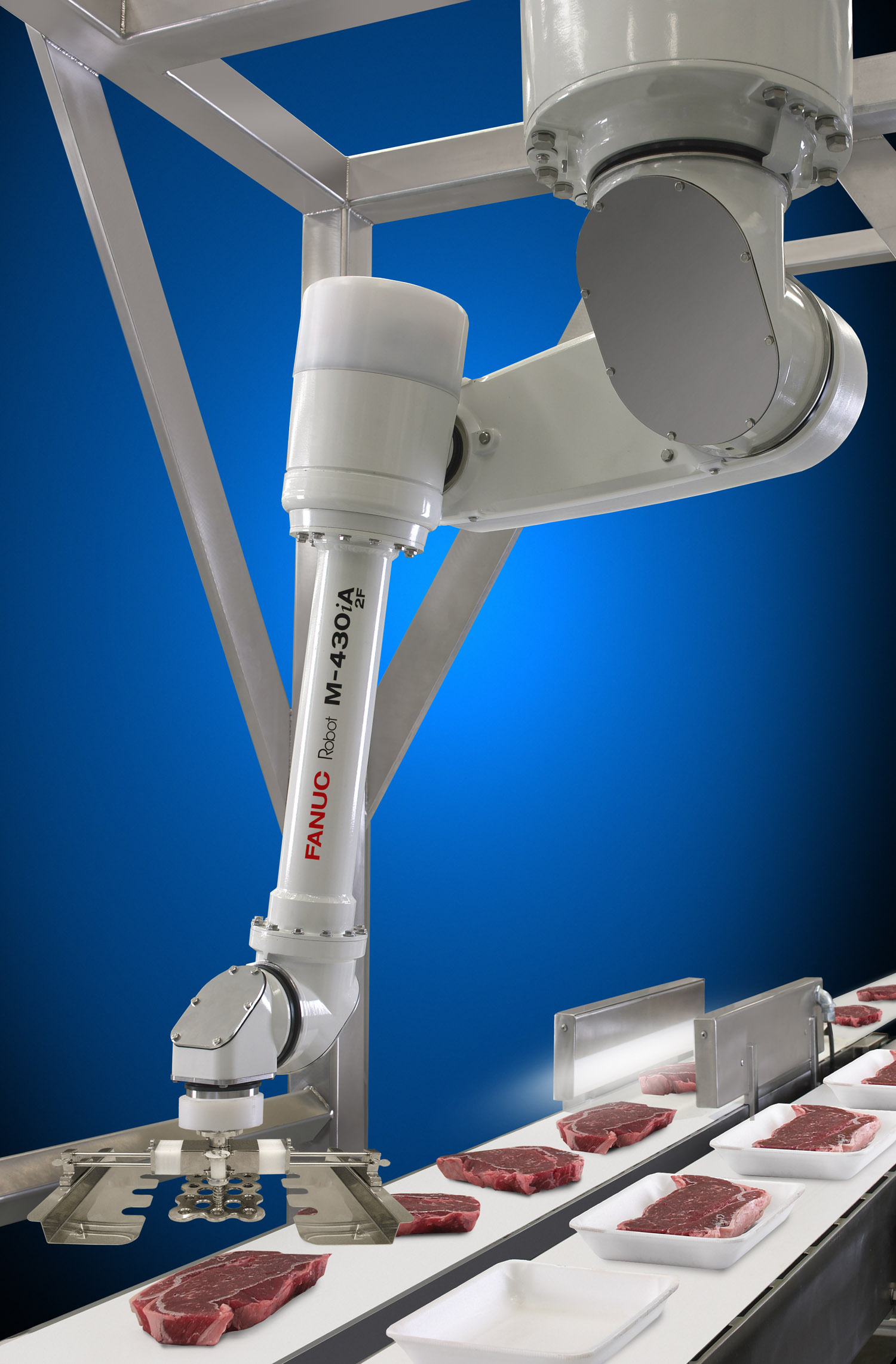 FANUC robot for meat processing