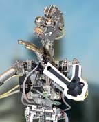 Bionic Joint Modules for Humanoid Robots