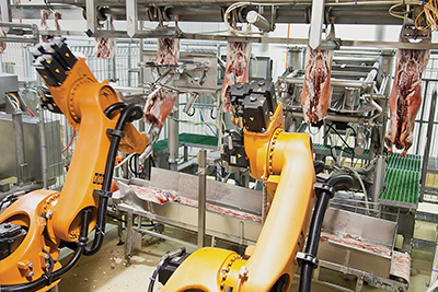 Robots process raw lamb on the meatpacking line, saving human operators from harsh working conditions and potential risks associated with refrigerated, tightly compacted working spaces. (Courtesy of SCOTT Automation)