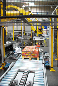 Palletizer