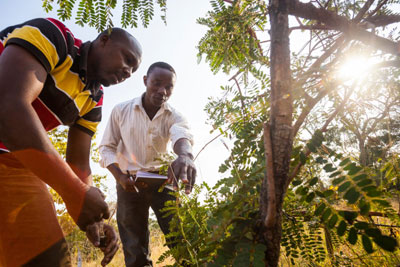 An image of two men working in outdoor environmental conservation.