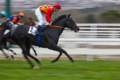 A photo of a horse race.