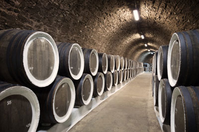 A picture of barrels in the wine cellar.