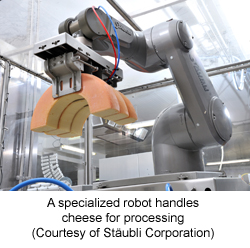 A specialized robot handles cheese for processing (Courtesy of Stäubli Corporation)