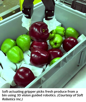 Soft-actuating gripper picks fresh produce from a bin using 3D vision guided robotics. (Courtesy of Soft Robotics Inc.)