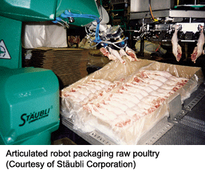 Articulated robot packaging raw poultry (Courtesy of Stäubli Corporation)