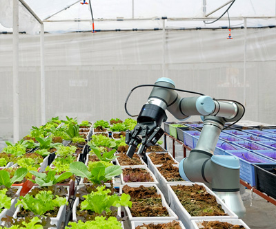 robotic in garden