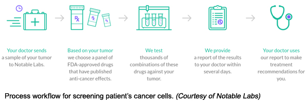 Process workflow for screening patient’s cancer cells. (Courtesy of Notable Labs)