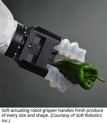 Soft-actuating robot gripper handles fresh produce of every size and shape. (Courtesy of Soft Robotics Inc.)