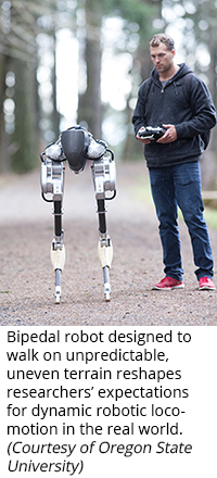 Bipedal robot designed to walk on unpredictable, uneven terrain reshapes researchers’ expectations for dynamic robotic locomotion in the real world. (Courtesy of Oregon State University)