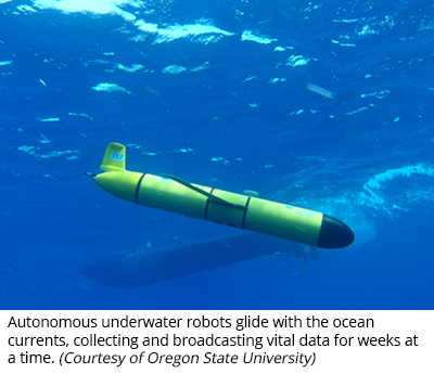 Autonomous underwater robots glide with the ocean currents, collecting and broadcasting vital data for weeks at a time. (Courtesy of Oregon State University)