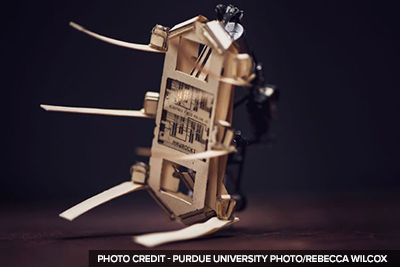 AI and Robotics in Agriculture: Robotic Pill Offers Health Benefits for Cows