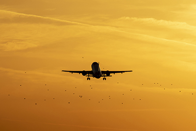 Robot Bird Designed to Keep Airspace Safe