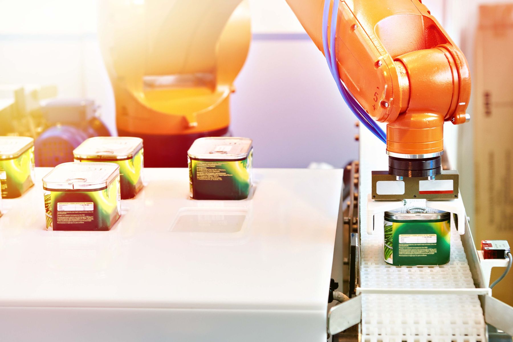 Robotics in Food Manufacturing and Food Processing