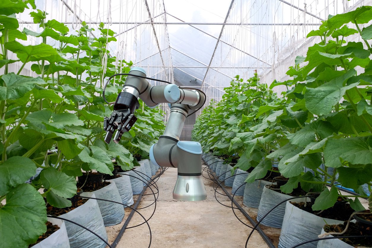 Agricultural Robots: Understanding Professional Service Robots in Agriculture
