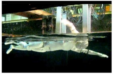 Tokyo Tech “SWUMANOID” in action