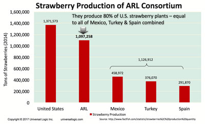 ARL Produces 80% of the U.S. Strawberry Plants