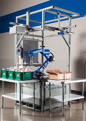 Neocortex® Goods to Robot Cell