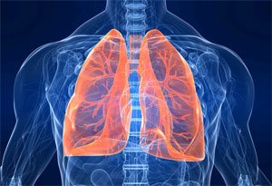 Breath Therapy