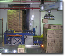 Cooking Up Success:  Space and Labor Limitations at Frozen-Foods Manufacturer Overcome By Robotic Palletizing System